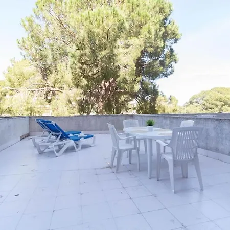 公寓 Complejo Residencial Con Terraza-cat-2